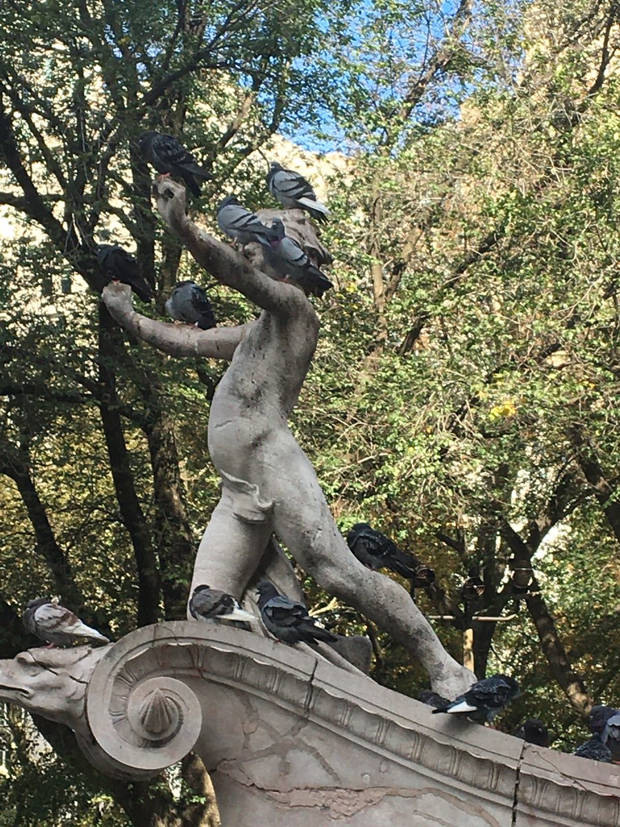 Matt_Reynolds77's tweet photo. #NYC #CentralPark https://t.co/cMjJSH8zkx