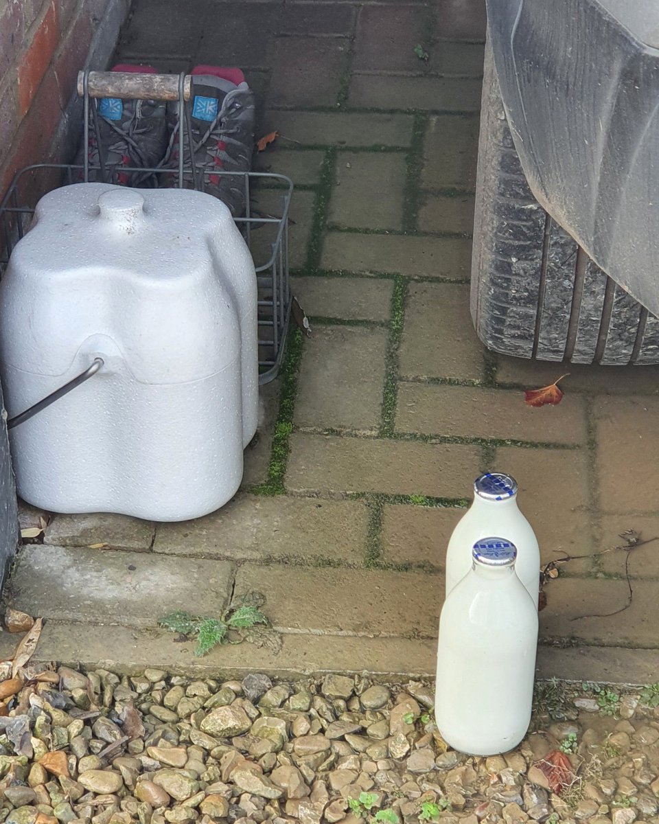 Good job I had my 3 Wheatabix and spotted this potential disaster #milkandmore