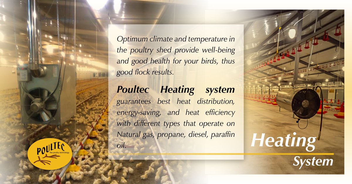 Poultec NV tweet media