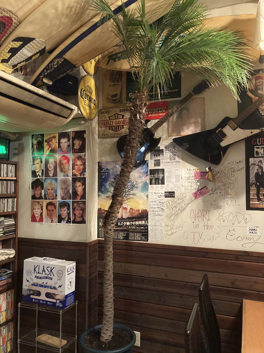offshor76355772's tweet photo. ヤシの木を大きい鉢に植え替えよったら何やこれ⁇
冬支度完了😄🌴
onderful world beautiful people🌈

#明石
#定食
#喫茶店
#パフェ
#eegbrain 
#meg8pon
#ギター教室林家
#lussosurf
#keenssurfrage 
#gooddays_stndup
#surfinglife
#サーフィン好きと繋がりたい
#enrike_selfesthe_akashiokubo https://t.co/JNsvNJc47p
