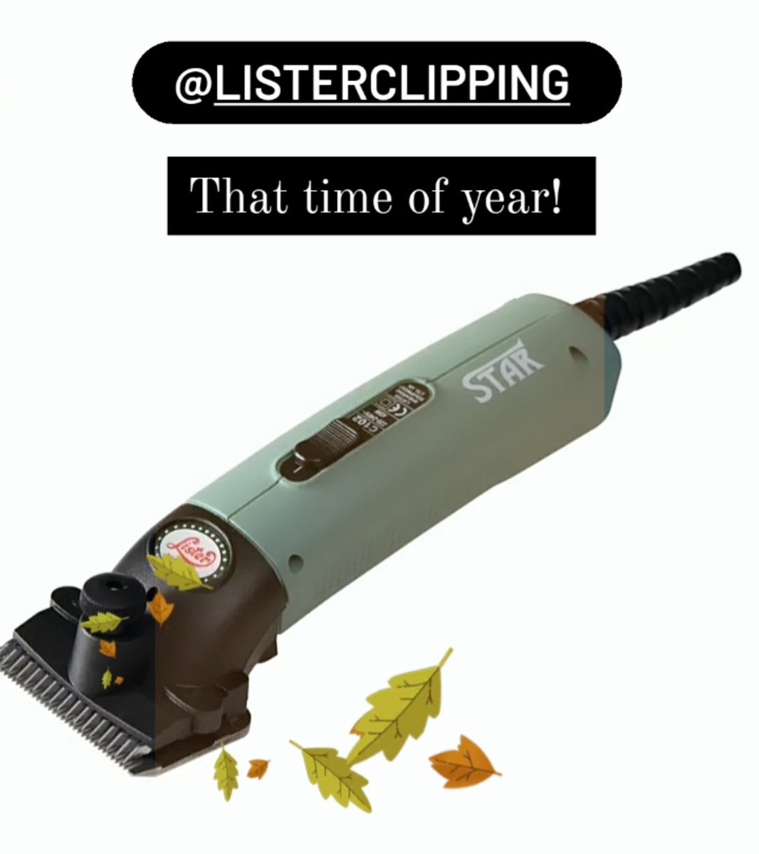DarraghEquestri's tweet photo. The @listerclipping #star is the workhorse of clippers, always reliable yet delivers a great even clip time after time.  Do you need one in your yard? Contact us to order yours today https://t.co/h5JrtSdCho #darraghequestrian #listerclippers #lister #clipping #clippingseason https://t.co/IZCzT8wvZT