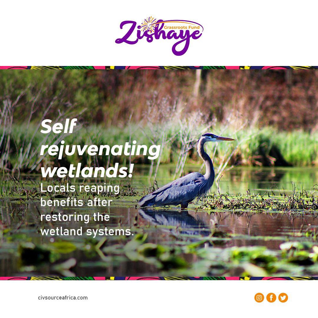 Restoring the wetland systems! When rural women are empowered to restore wetlands, the entire community and the nation at large benefit.   Today, Otol wetland is able to regenerate naturally.  Self rejuvenating wetlands! To Read: bit.ly/3n8ZjFl  #zishayegrassroots