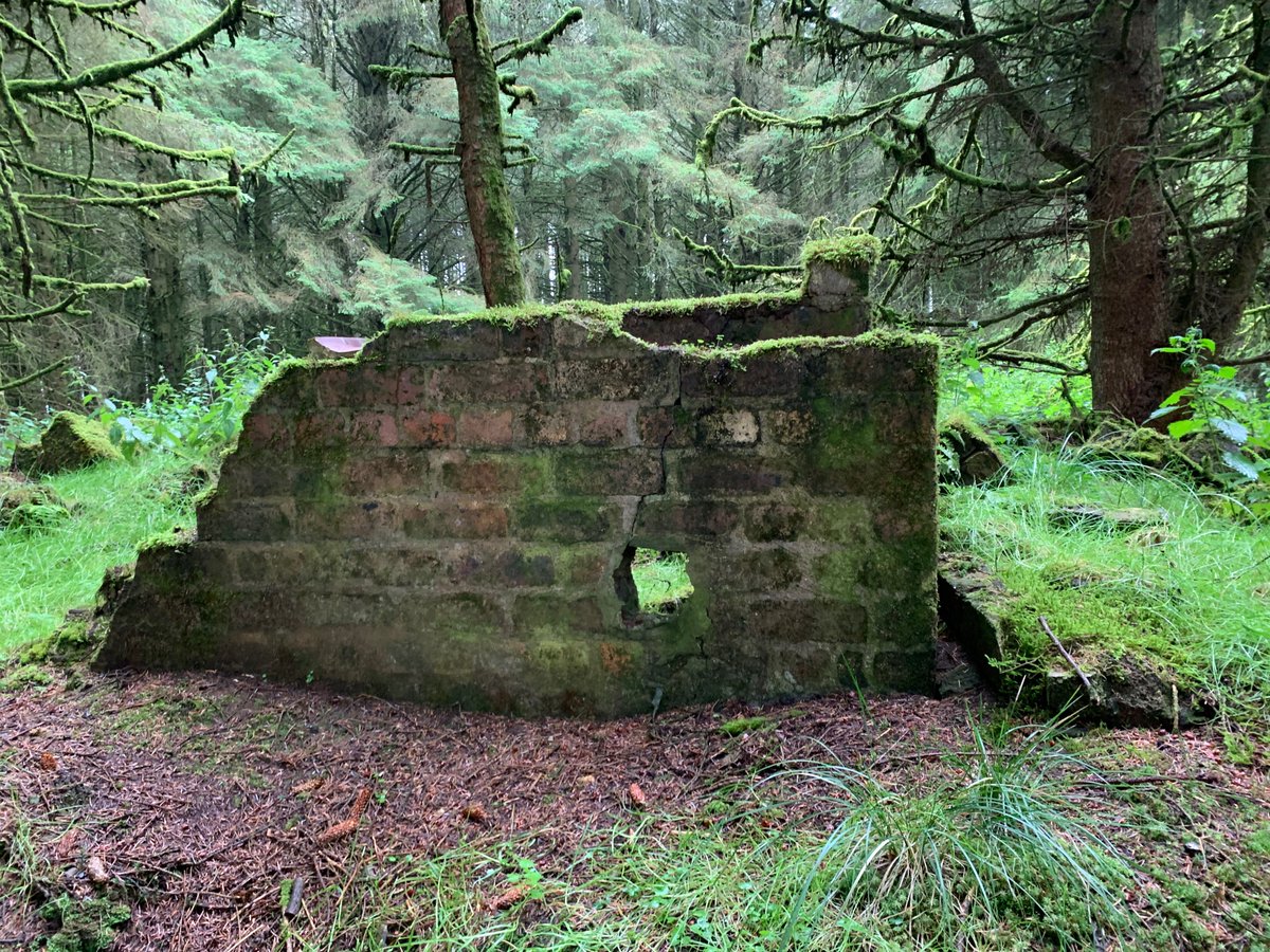 Last month our project researcher @yvonne_mcfadden explored the site of Lethanhill village. We are currently interviewing some Lethanhill residents. If your family came from Lethanhill or Burnfoothill, please get in touch. tinyurl.com/4sjmzjnb