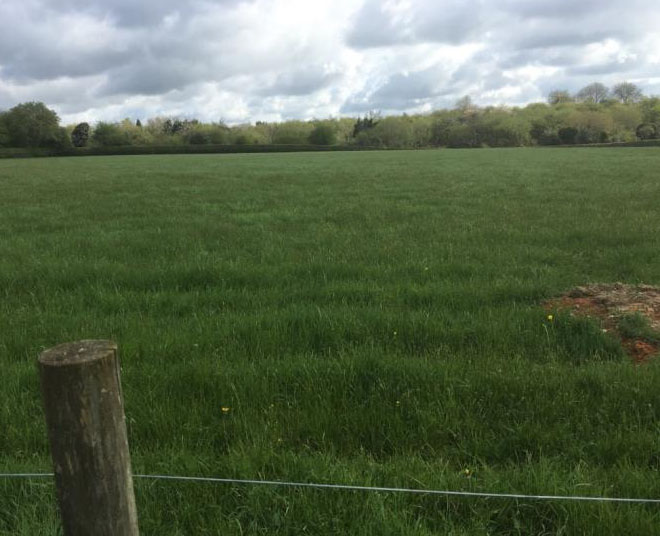 holmergreenndf's tweet photo. Beautiful beautiful #Buckinghamshire and thankfully @BucksCouncil are THE most pioneering, creative and progressive #UnitaryAuthority Councils ever. They're consulting their Legal Teams to protect green fields that were inaccurately described in a local plan as semi-urban. https://t.co/eit5onmMbw