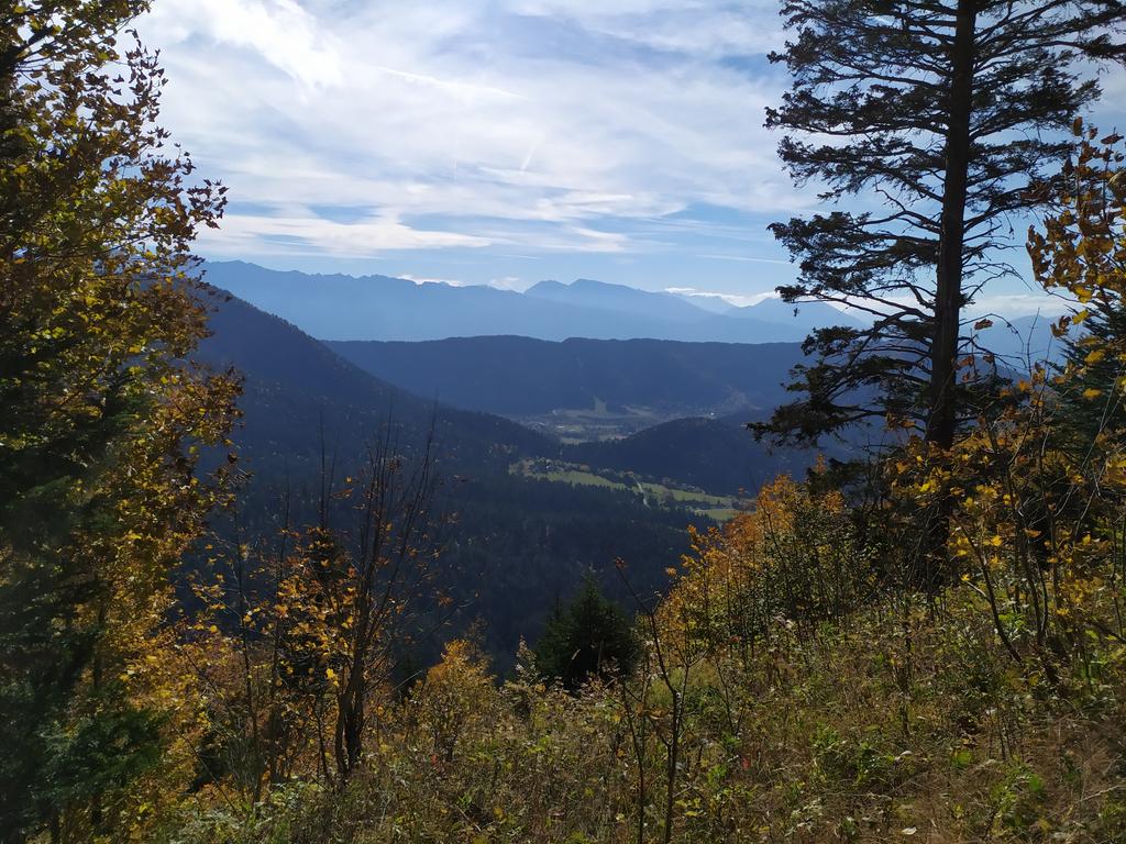 CyrilAumaitre's tweet photo. Après une thèse réussie au labo( yeahh Johan), petit moment détente en foret! #lapinea #chartreuse https://t.co/EmAwdlcaJU