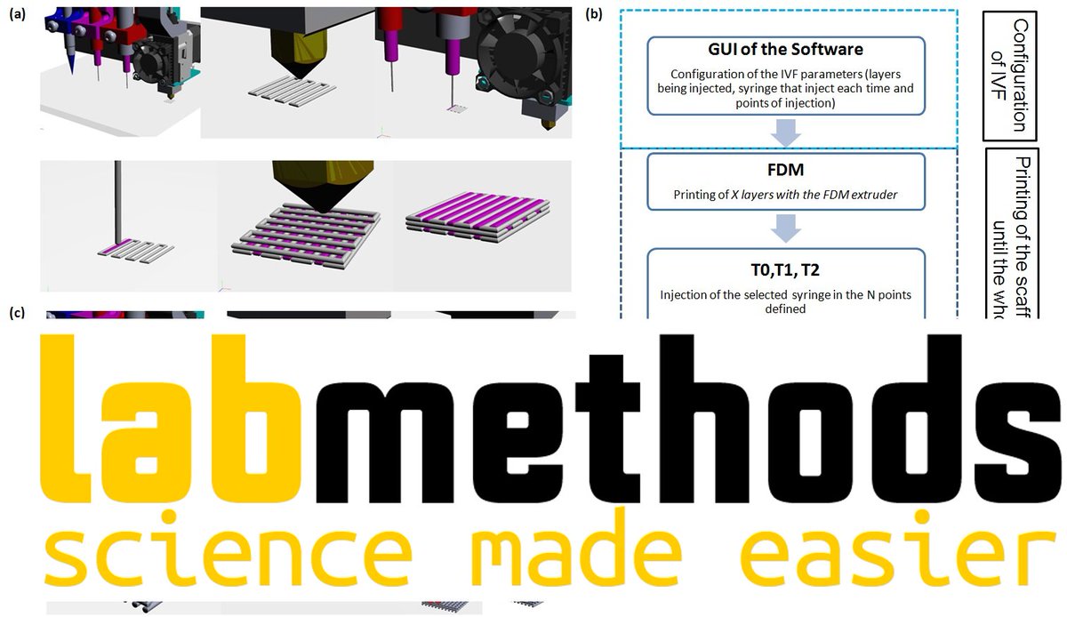josbaema's tweet image. 🧬🔬📢 Volume by Volume bioprinting of 3D hybrid scaffolds using PLA and alginate with Chondrocytes 💙🧫 

labmethods.org/2021/10/15/vol…

🔬🧬A method found in labmethods.org 🧬🔬

#Biofabrication #Labmethods #Cartilage #Bioprinting #chondrocytes