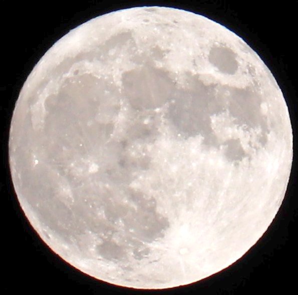 neconecoitigo's tweet photo. ハンターズ・ムーン🌕✨✨
camera
Canon EOSKiss X9i
lens
EFS55-250mm
#満月
#fallmoon
#ファインダー越しの私の世界
#Canon男子
#myeosphoto https://t.co/zeFiNRzv0N