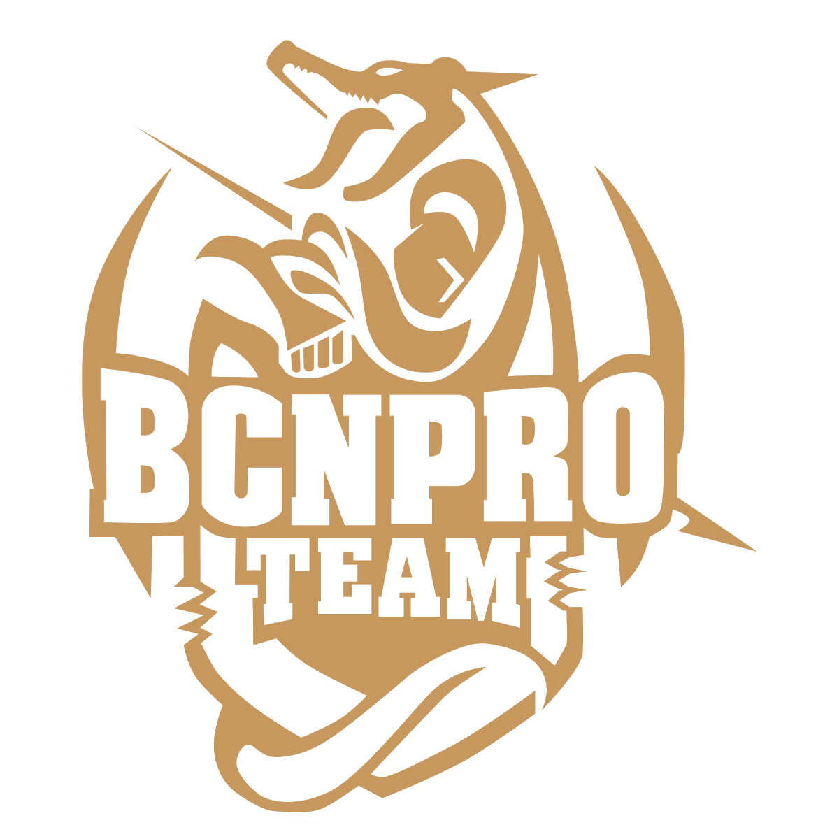 BCNProTeam's tweet photo. 🤔 ¿Qué #logo elegirías como foto de perfil en @Twitter?

1️⃣ Dorado
2️⃣ Color
3️⃣ Negro

👇 ¡Os escuchamos! https://t.co/8iBF4RCOA8
