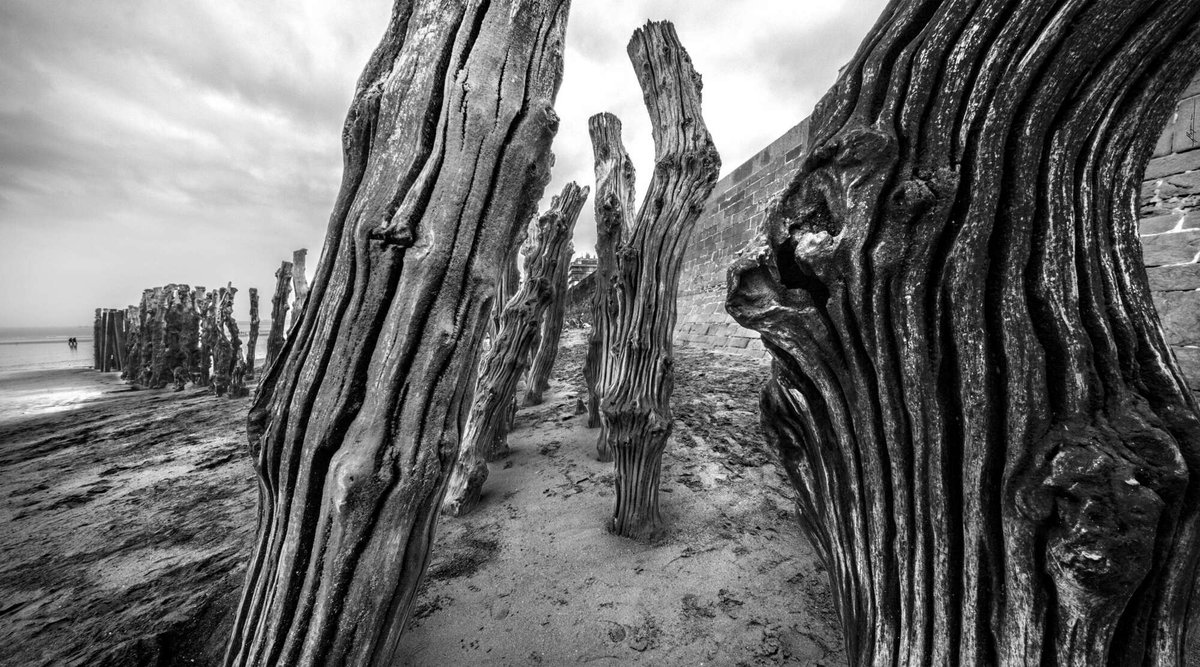 ValorusGroup's tweet photo. Le #photographe Claude Rodriguez avec qui nous avons collaboré cet été pour promouvoir son expo nous a offert 1 photo qui magnifie les #briseslames de @VilleSaintMalo sculptures ciselées par la mer le vent et le temps. 🙏 Offrez en 1 à ceux que vous aimez https://t.co/qeqClfM6Ts https://t.co/m9lE0YCCew