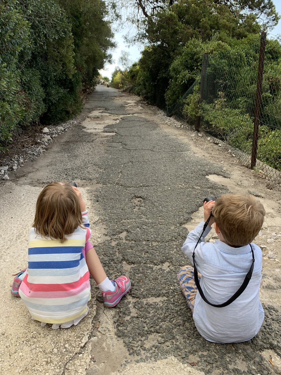 Our family-friendly #naturetours in Gibraltar, perfect for kids to engage with & learn abt respect for nature, searchng for all sorts of bugs & critters.  Here the kids enjoy views of the Barbary apes and a huge fall of Black redstarts 👉🏼 aviantours.net