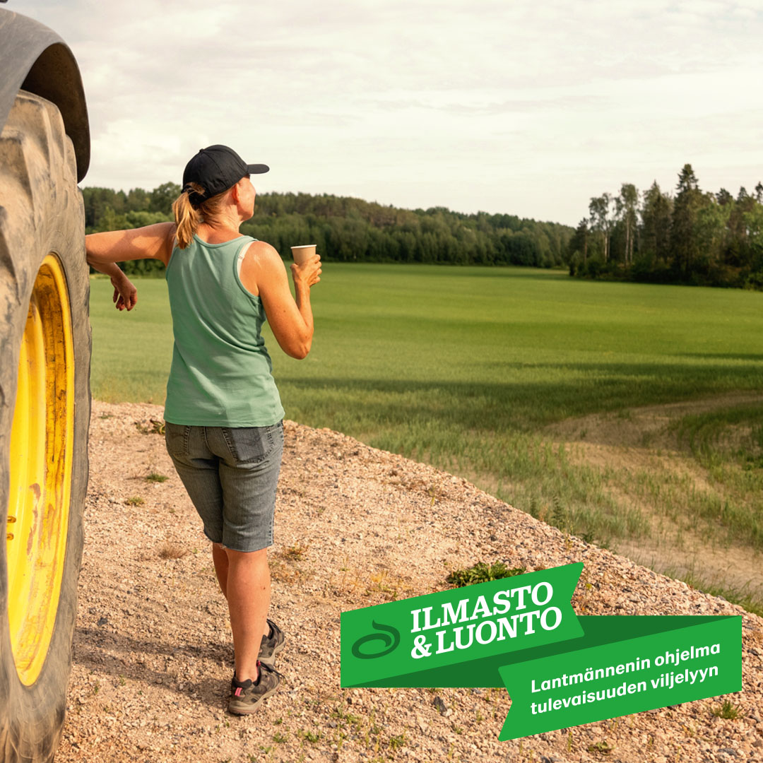 Suomalainen ruis tarvitsee sankareita👩‍🌾👨‍🌾  Haluamme luoda kannattavan ja entistä kestävämmän tavan viljellä ruista. Tänä syksynä 60 sopimusviljelijäämme on kylvänyt ensimmäiset tulevaisuuden rukiinjyvät osana #ilmastojaluonto  ohjelmaamme. #pellostapöytään #vastuullisuus