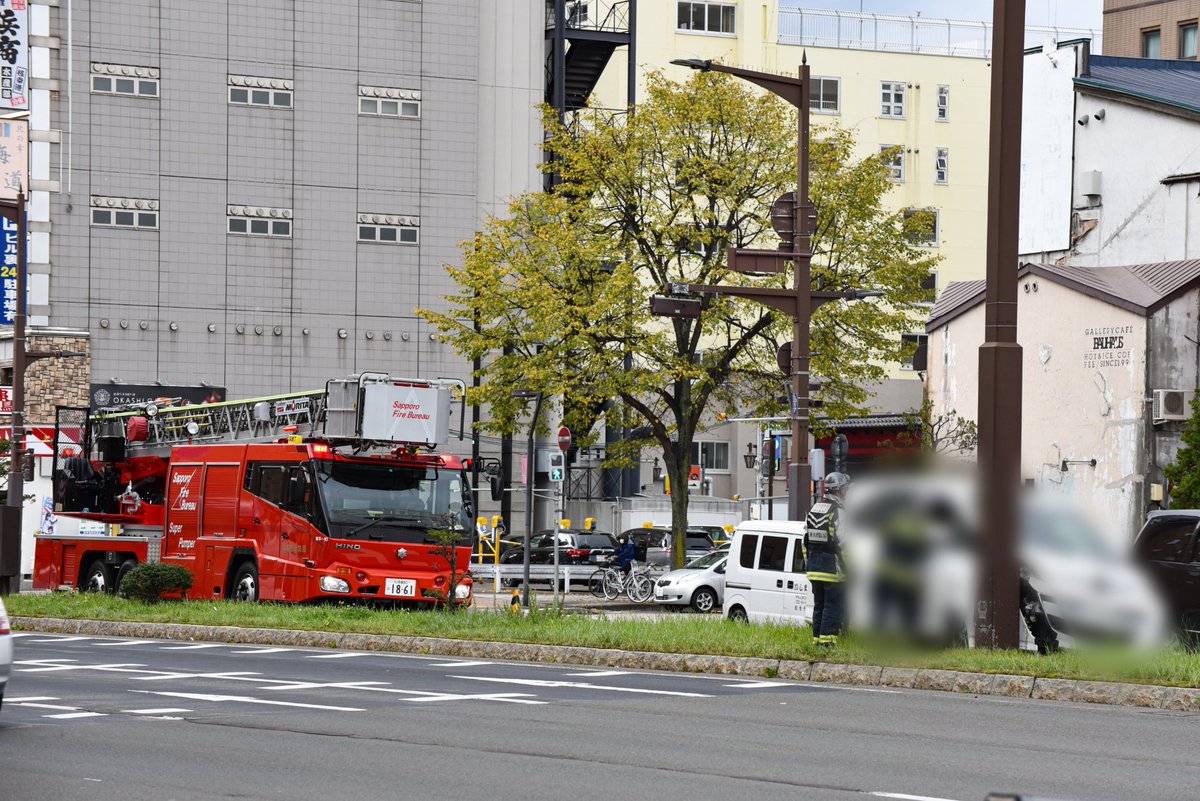 ph_gm_pc's tweet photo. 珍しい現場に遭遇しました。
#gomaphoto https://t.co/M4qusbe0rR