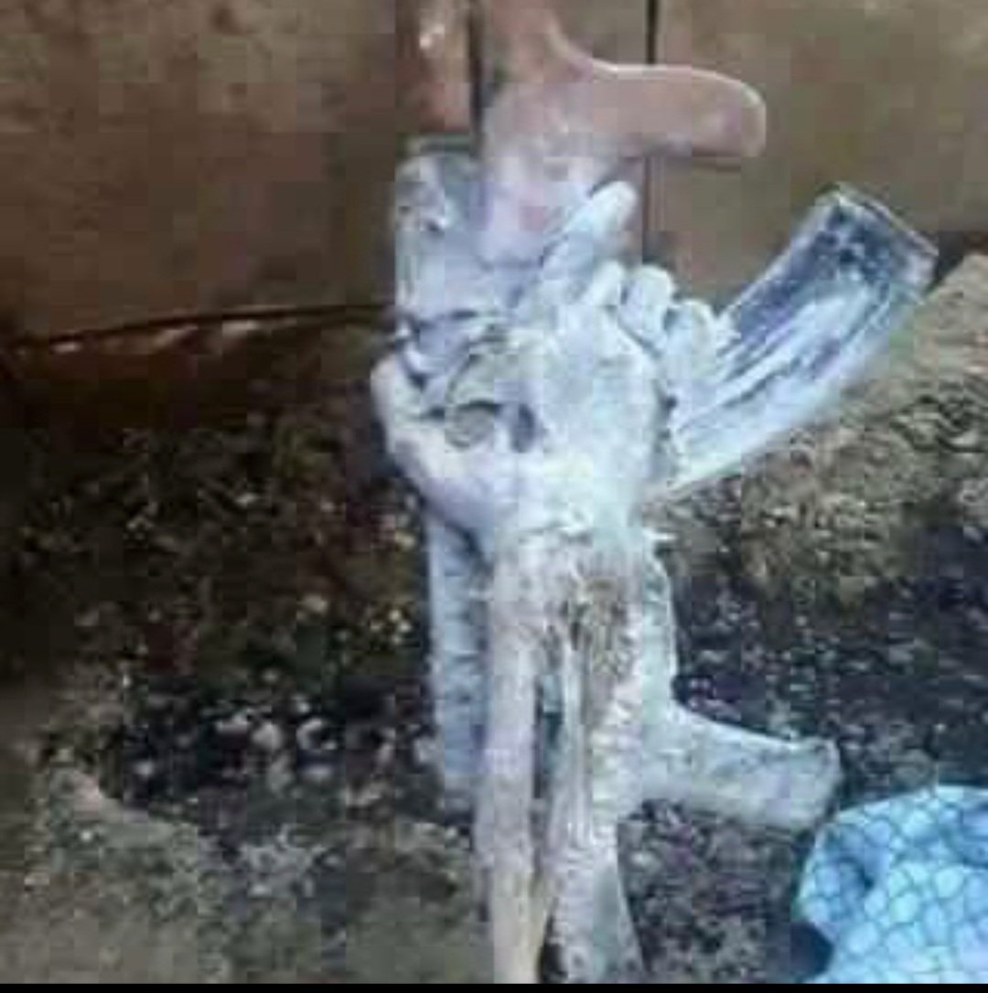 هنيئا لهم 💚 في جنات الخلد ان شاءالله 💚
إنهم الأبطال الذين دافعوا عن وطنهم دافعوا عن الحق اللهم اغفر لهم وارحمهم وادخلهم الفردوس الاعلى الشهداء