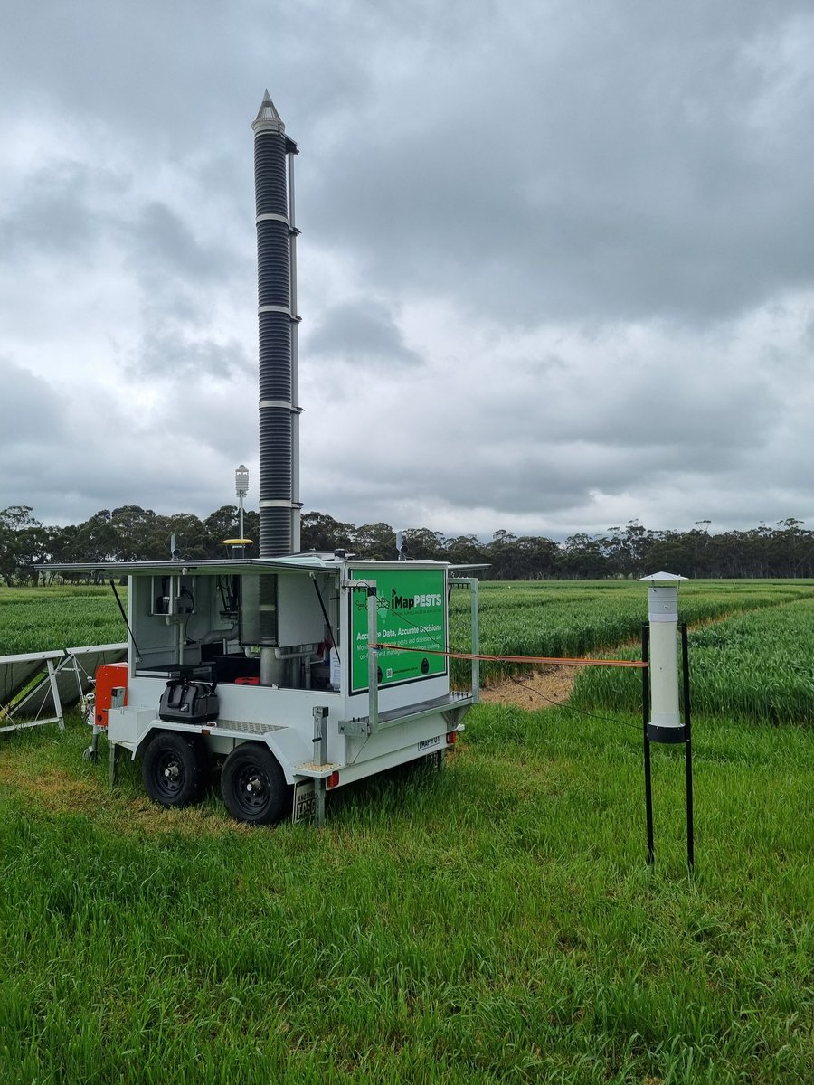 Rohan Kimber tweet media