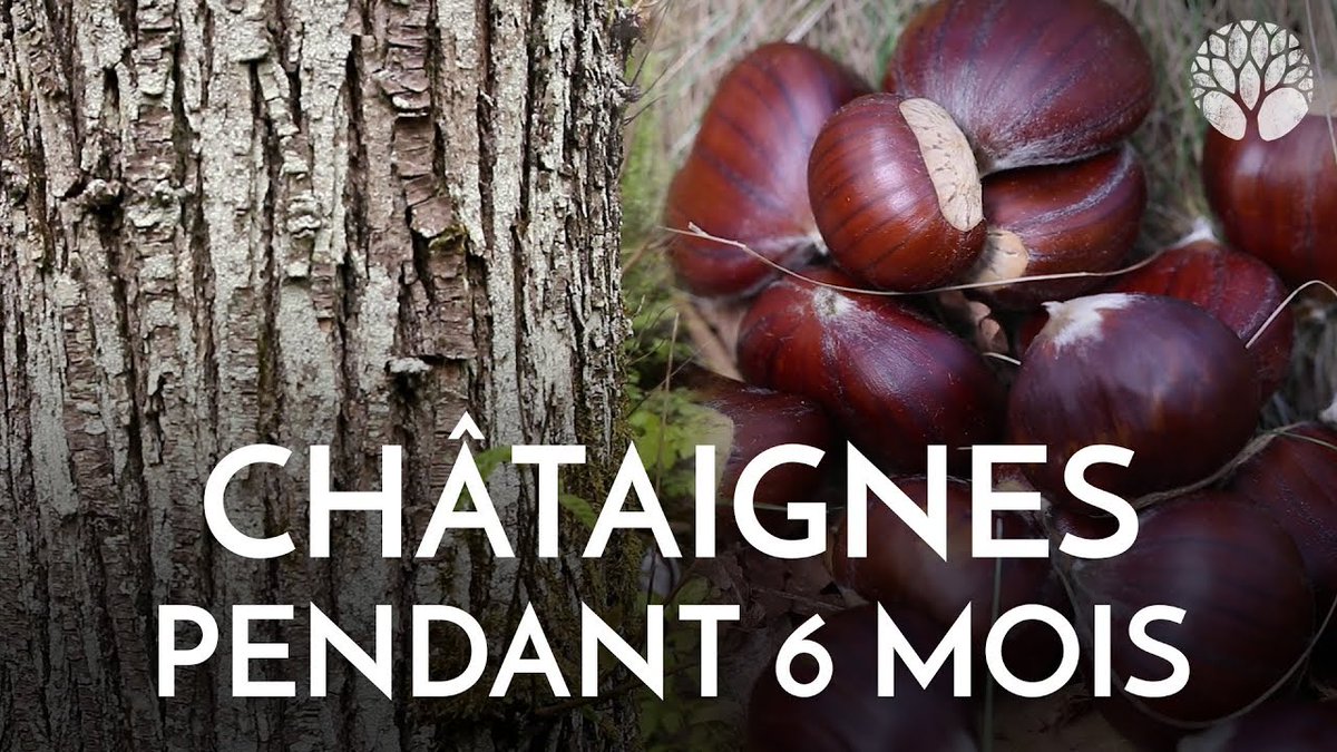 Le Chemin de la Nature tweet media