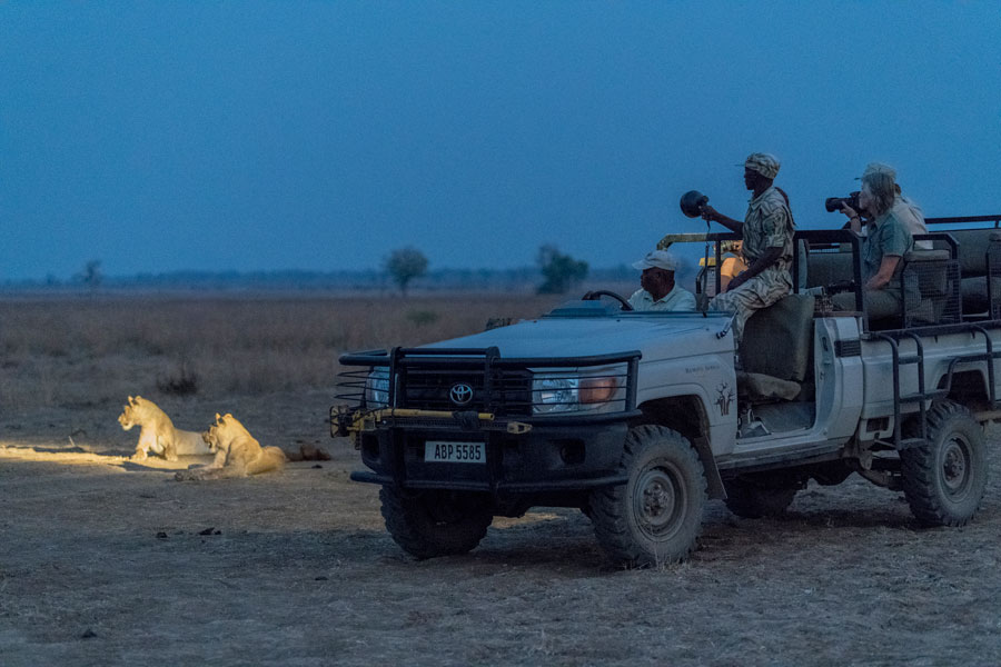 AbsoluteZambia's tweet photo. SOUTH LUANGWA NIGHT GAME DRIVE SAFARI 
Open-top vehicles are used for game drives, allowing for excellent wildlife viewing and photography. You will also be searching for nocturnal animals with the help of spotlight.
Images thanks to @remoteafrica https://t.co/kPZKMrcqsp