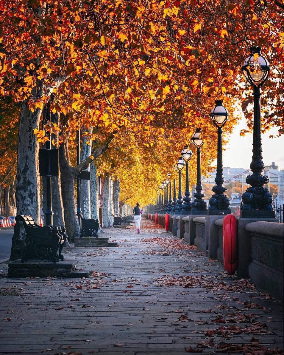 BestTubeTo's tweet photo. 🍁Autumn spots and cozy plans in London.
Spot nº7
🌟CHELSEA & EMBANKMENT
🚇#LondonUnderground Route to #ChelseaEmbankment
➡️Use https://t.co/xuPtZEJbeI
📍Tube Stations: #BatterseaPowerStation & #SloaneSquare
📸@ottoberkeley IG
#AutumnLondon #Londonfall #Autumninlondon https://t.co/6WvaVlbQwT