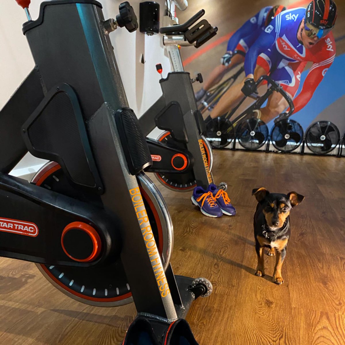 BoilerRoomFit's tweet photo. Spinning in Glasgow ? Only one place to go ! Boiler Room Fitness - Spinning Studio.
24+ classes/week - Pay-as-you-Spin basis - to BOOK click the Book a Class tab at https://t.co/diIKcf70pv or find us on MindBody.
#spinningglasgow #COP26 #COP26Glasgow #indoorcyclingglasgow https://t.co/kwWr3fwHME