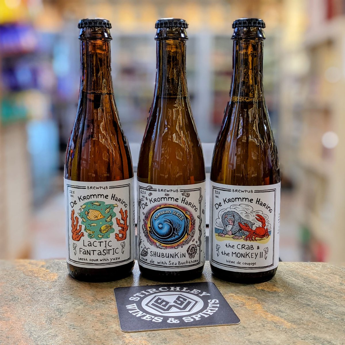StirchleyWines's tweet photo. Last time we had mixed fermentation beers from @dekrommeharing on the shelves they really didn't hang around. Now they're back in a slightly smaller size.
๐บ Lactic Fantastic - 5.0%
๐บ Shubunkin - 6.5%
๐บ The Crab & The Monkey II - 7.5%
#NewBeer #MixedFerm #VivaStirchley https://t.co/ijqVByV5vf