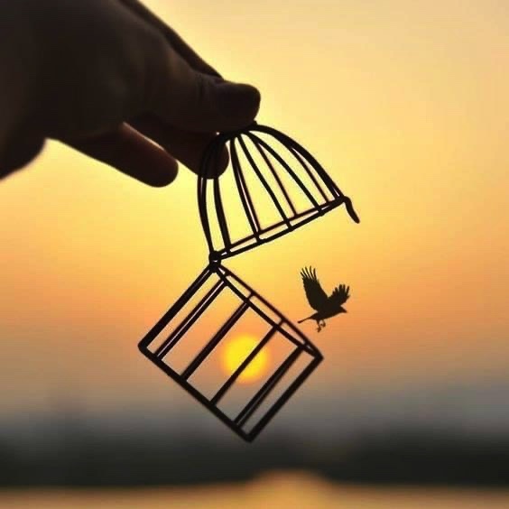 TheaverageSavan's tweet photo. تحرر من كل حزنٍ يقيدك ، من كل خوفٍ يُعيقك ، من كلامٍ يحطمك .. تحرر من كل ما تكره .. وانطلق بأقصى قوتك ❤ https://t.co/KCLptmtNXX