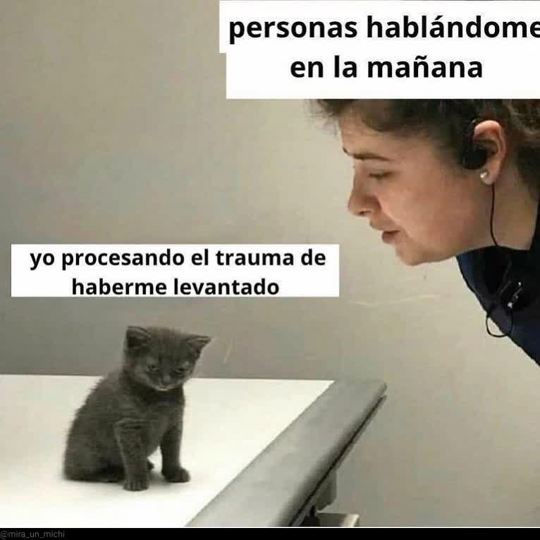gatito_shitpost's tweet photo. https://t.co/Sa2MDwcTiQ