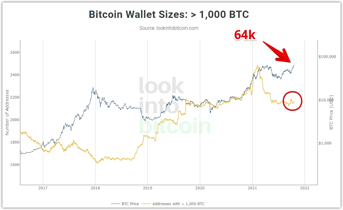 migonzalez87's tweet photo. Pequeño incremento de las tenencias de los holder con mas de 1000 #BTC lo que nos indica que están acumulando mas a medida que se acerca el precio a máximos históricos. https://t.co/o2Wyk3vemO