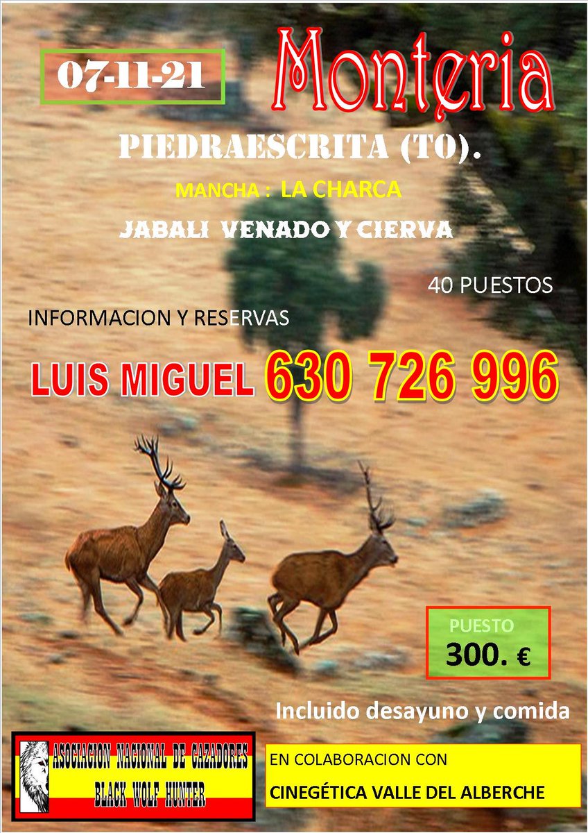 Talavera de la Reina. Toledo   facebook.com/ANCBWH/?ref=pa…