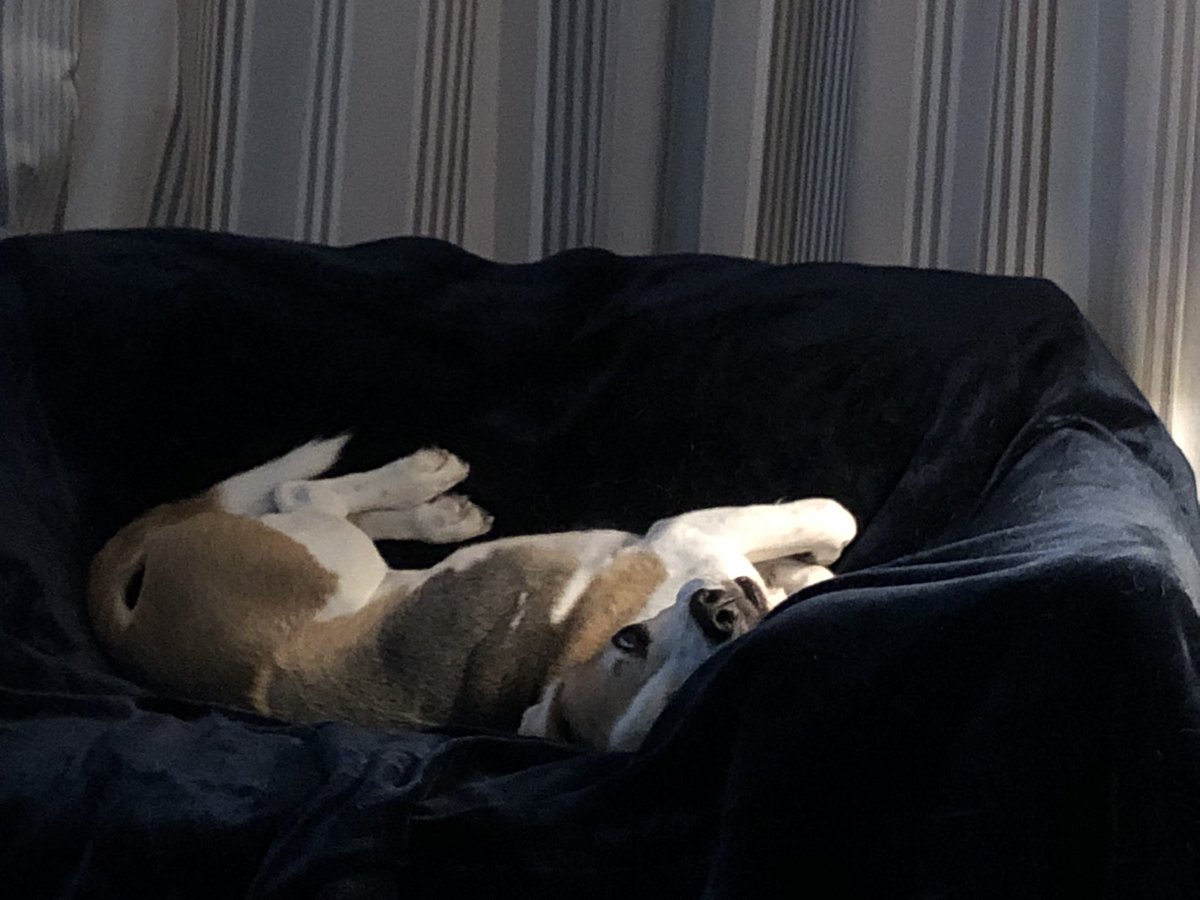 Morning #elevenseshour it’s been a while!
We are self isolating after my gorgeous kids brought the dreaded virus home from school so we are mostly sitting around feeling dreadful. I did get a leeching this morning so that’s cheered me up!
ceramics.chickenscoop.com 
#pottery #gifts