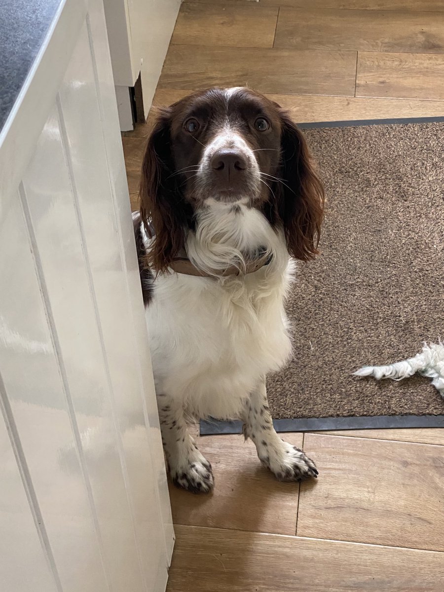 Thomas Lydon tweet media