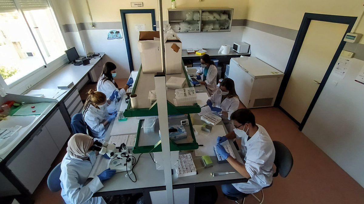 ¡Que buen equipo nos hemos juntado hoy en el laboratorio!👨🏻‍🔬👩🏻‍🔬💪🏼