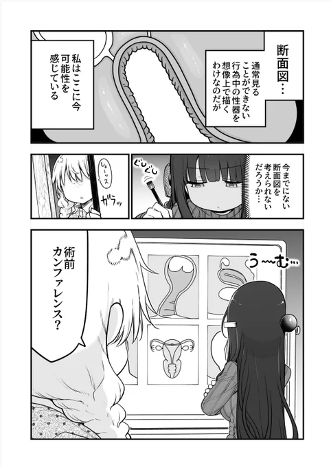 今月のcomicアンスリウムのぱらのいあけ～じは断面図について一考する話 