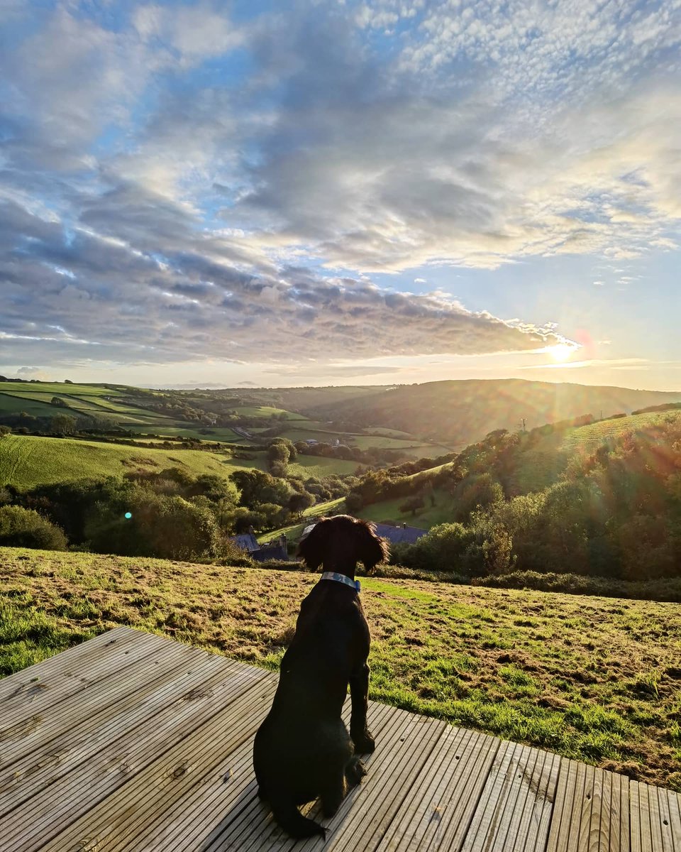 It's a dogs life <a href="/CoulscottEstate/">Coulscott House Holiday Cottages</a> Polly here loving the big autumn  skies over Exmoor #Exmoor