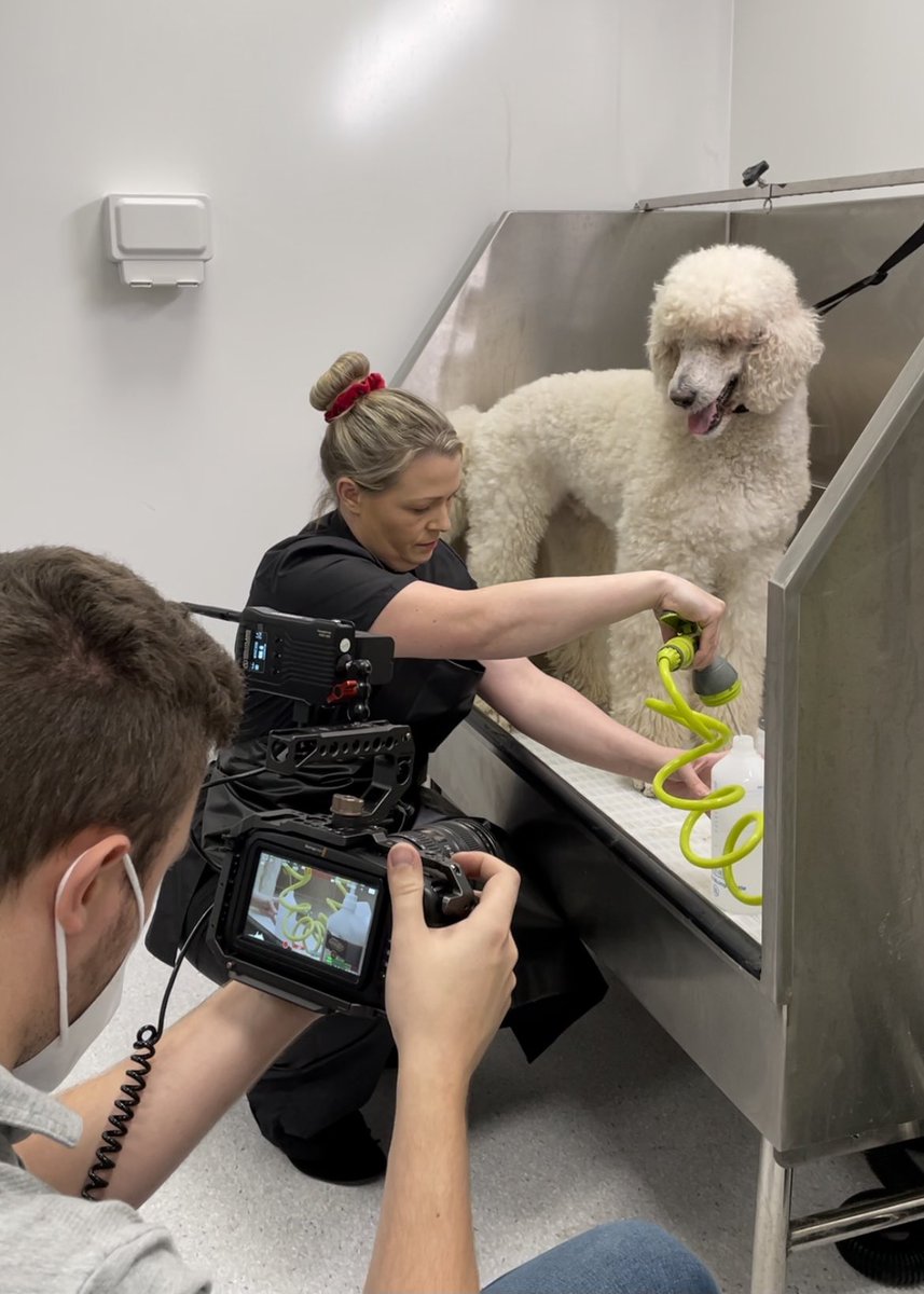 A quick look at the #behindthescenes from our shoot yesterday! 🎥 

Day 1 is complete ✔️ 

#cinematography #bts #onset