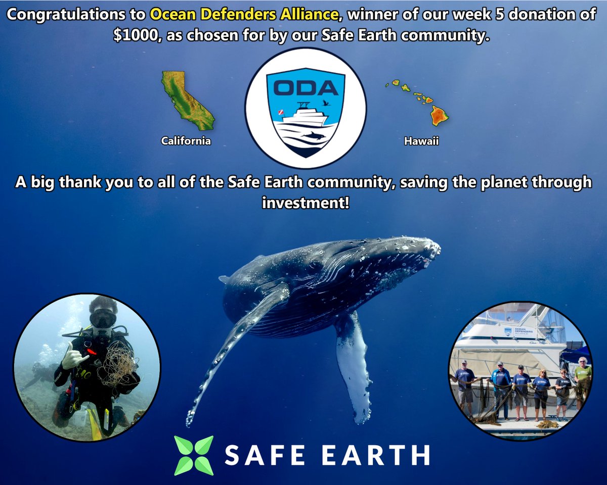 SafeEarth tweet media