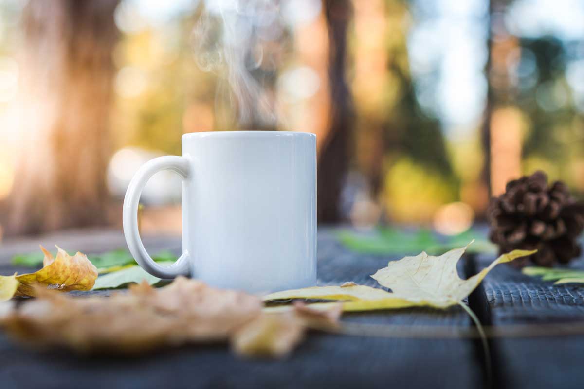 LerchRV's tweet photo. Good Wednesday morning folks. Time for my #morningpour. #timetoadult #hampday #coffee #drinkup #wakeywakey #dothingsfaster #coffeetime #whitecup #fallcamping #goRVing https://t.co/V667c2I1jP
