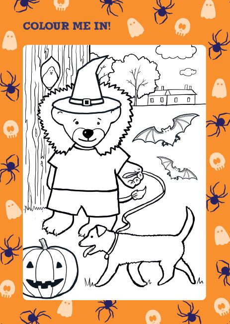 Come to Clifton Park Museum this half term &amp; pick up an 'Explore with Little Nelson' trail for FREE. Can you find all of the Little Nelsons hiding in our 'Revealed Roots Concealed Connections' exhibition? Then take a spooky colouring sheet home! <a href="/ace_national/">Arts Council England</a> #NelsonsCubClub