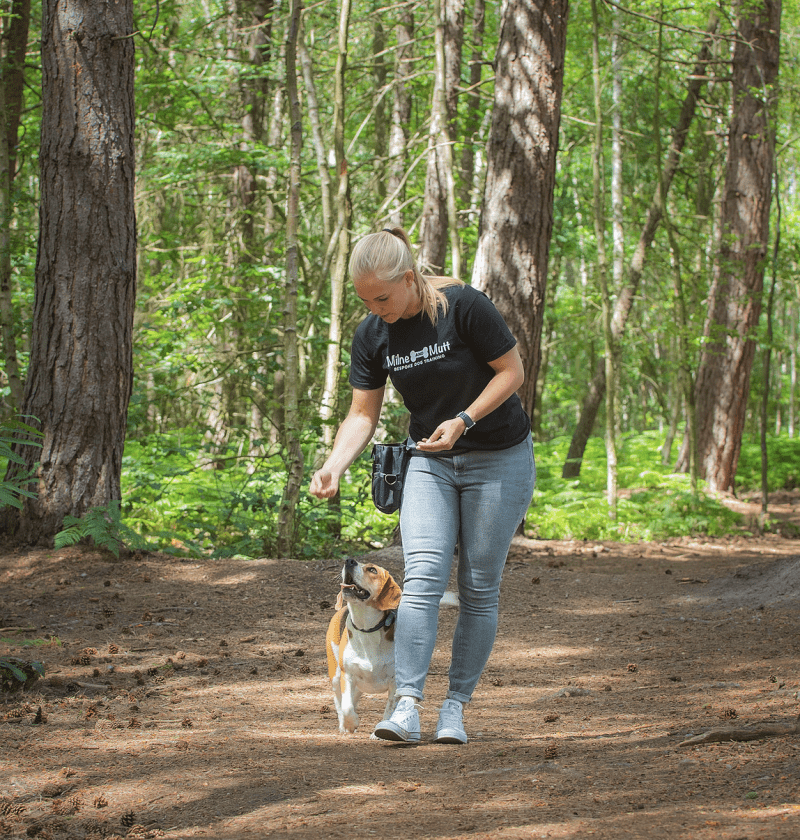 Have you ever thought about trying scent training with your dog? 

We met up with Jemma from Milne and Mutt Dog Training to talk about everything to do with scent training! 

bounceandbella.co.uk/live-with-miln…