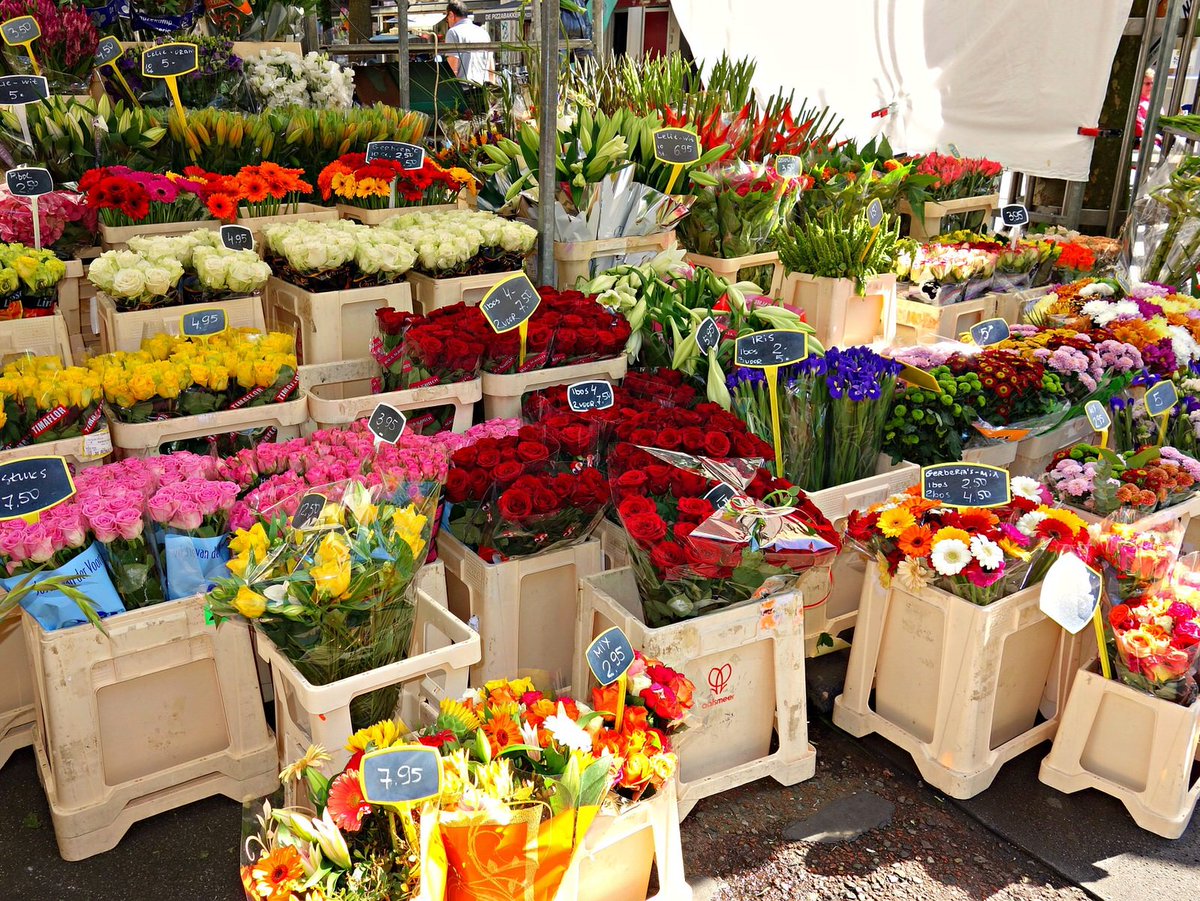 🍎👚📿 Els mercats setmanals, les fires i els mercats temàtics, ofereixen l'oportunitat de gaudir de les compres a l'aire lliure. Al d'Arenys de Mar hi trobareu botigues de tota mena disposades a oferir-vos tot allò que estigueu buscant.