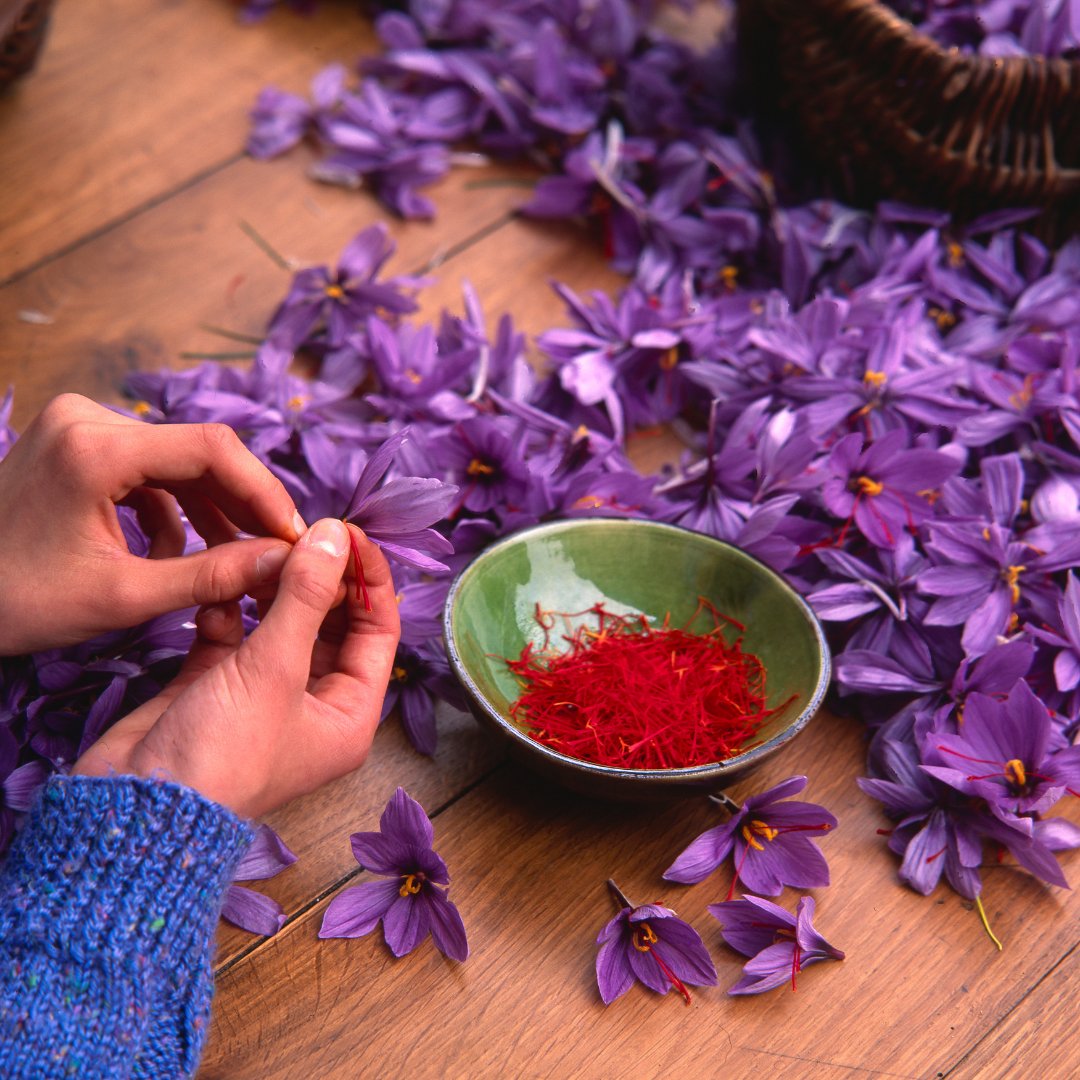 HarvestingFN's tweet photo. Now celebrate this pious festival of Diwali with Pure Saffron from Kashmiri Farmer. Place your order today & get it before diwali
https://t.co/lCA5ETLNMh
#PureSaffron #PureKesar #KashmiriKesar #Organickesar #HFNMandi #OrganicSaffron #DiwaliOffer #HealthyDiwali https://t.co/ohGKpfck1X