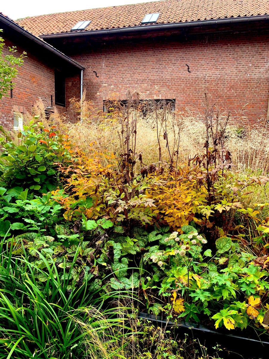 Wat is het al lekker herfstig op de binnenplaats