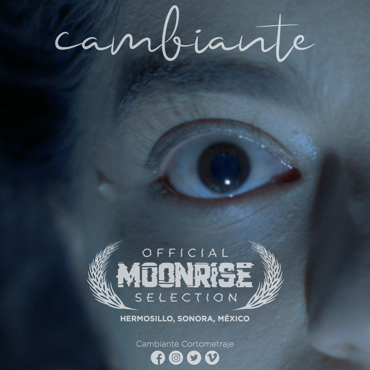🇲🇽✨🎬
Es un gusto compartirles que Cambiante se proyectará para esta temporada de Halloween en la Segunda Edición del Festival Internacional de Terror y Suspenso #MoonriseFilmFestival en la ciudad de Hermosillo, Sonora.

#CambianteCortometraje #Cambiante #ROTMovieMakers