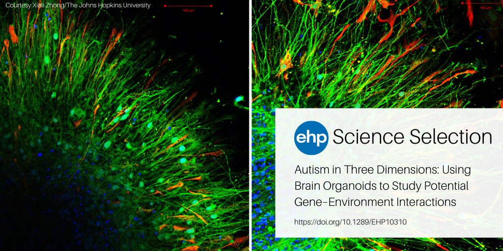 Environmental Health Perspectives tweet media