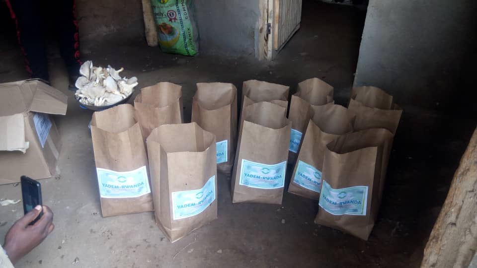yademrwanda's tweet photo. Mubimaze kugaragara ni uko igihumyo Ari umwami w'isosi kikaba Ku ruhembe mu kubyara intungamubiri zikize Kuri azote, imyunyungugu, amasukari na vitamin. Cyera cyane muduce dukonja n'ahandi ariko ikibabaje aho kera ninaho inputs zo gukora imigina kivamo zigoranye kuzibona 😘😘🙂! https://t.co/f9YPvvgMbH