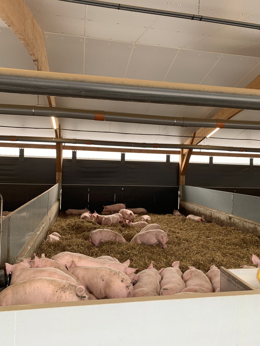 #kerangel #fermededemain #voirloin c’est ça être #producteurcommercantresponsable AGROMOUSQUETAIRES Saveurs Charcutières Intermarché #inauguration … pour en savoir plus il faut venir voir… Nathalie Florent Maël DECROIX Patrick FAURE Fabien Lanoux