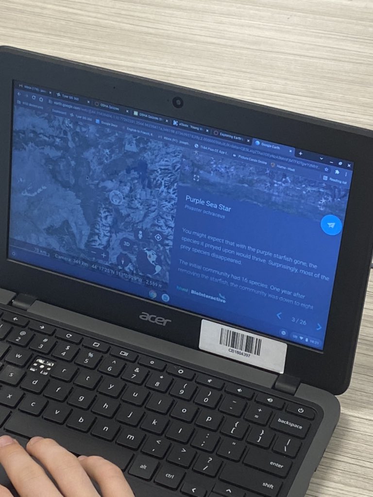 SDHS_Wilmes's tweet image. Got to stop in and see Mrs Flieg’s class doing an activity on keystone species, as well as Mrs. Cowgill’s class doing a diagnosis on Montresor from The Cask of Amontillado! #NPObserveMe