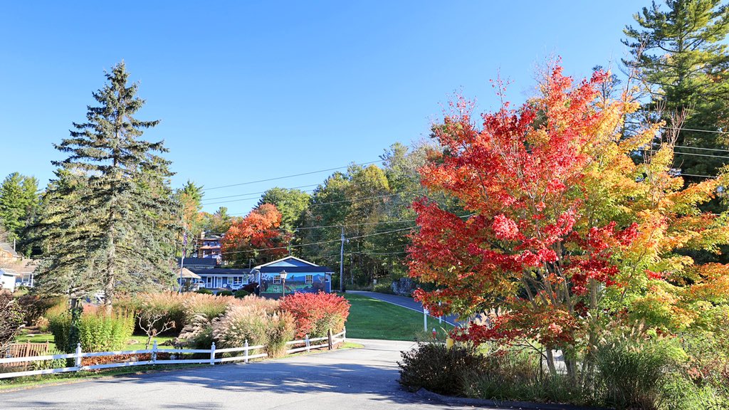 BlowingRock_NC's tweet photo. Itβs time for your daily fall photo, captured at Meadowbrook Inn (10/19). Todays fall photo includes a bonus picture of Robb Cool, tending to his bees on the rooftop!
#fall #leaves #dailyfallphoto https://t.co/gWAA5jWQDA