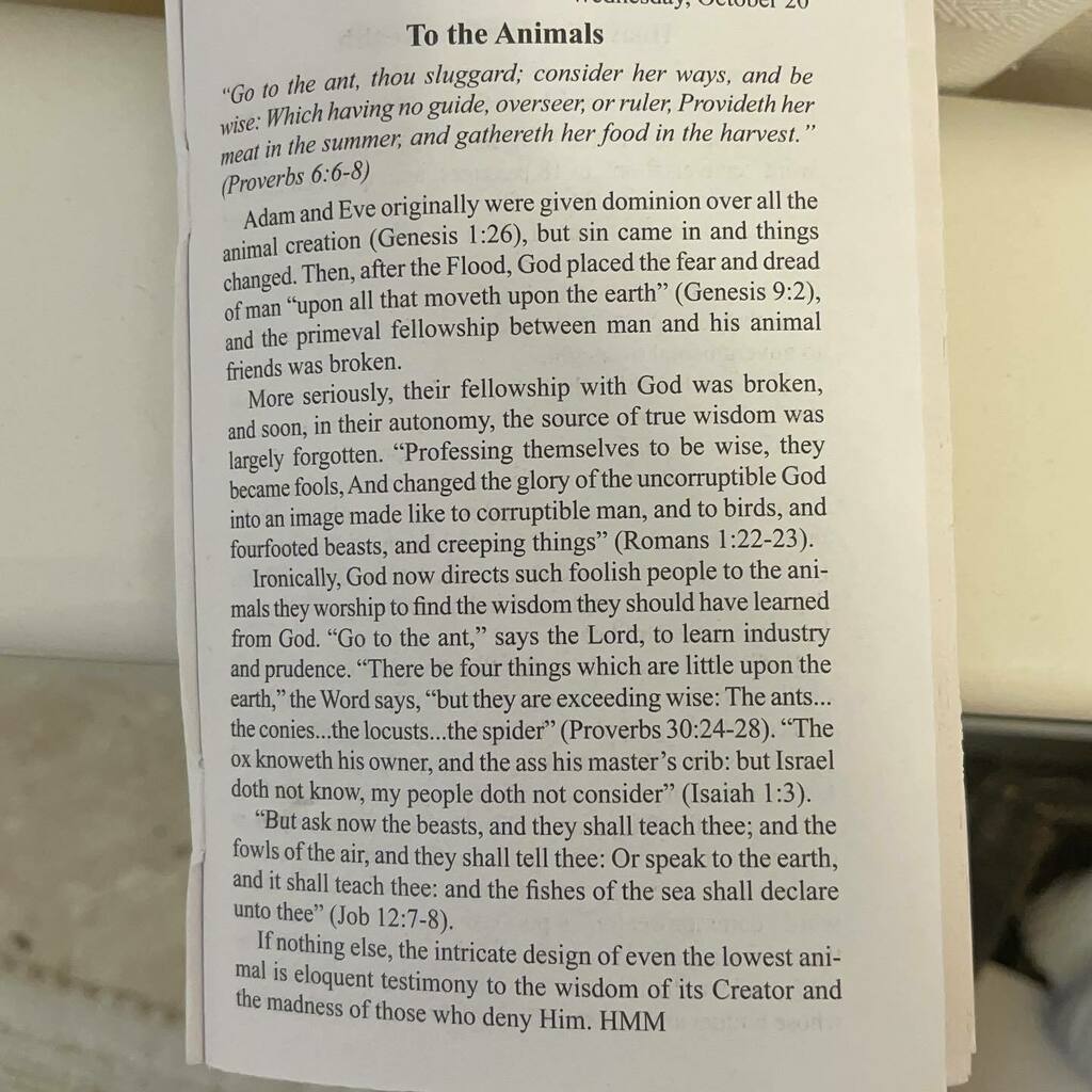 dbstanley's tweet photo. Today’s devotion. https://t.co/4hhjr3O1O7 https://t.co/QeBC5cQDa8