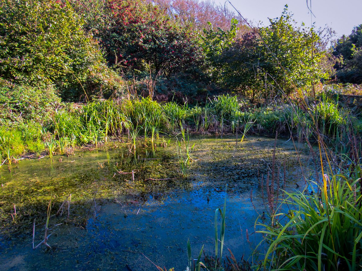 Beautiful views at Lepe Point #NewForest #nature <a href="/hantsconnect/">Hampshire County Council</a> @HantsCS <a href="/GreenHampshire/">Green Hampshire</a> <a href="/NewForestSussed/">Sussed in the Forest</a> <a href="/LymWild/">Flower Power Lymo</a> <a href="/LymoTweetUp/">#LymoTweetUp 💚</a> <a href="/HistoryHit/">History Hit💥</a> <a href="/ExburyLepeCG/">Exbury and Lepe Community group</a> <a href="/TheNewForestUK/">The New Forest</a>