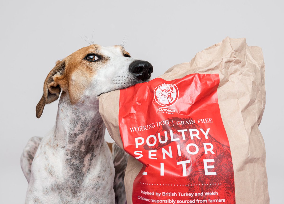ClydachFarm's tweet photo. Our NEW Senior/Lite recipe keeps your pooch feeling full whilst providing effective weight management. Overweight dog's don't need to sacrifice delicious tasting food! We'll keep them fuller for longer 😋🙌🏻

https://t.co/RoFlT7PwFt #dogs #wales https://t.co/IlCde8axPK