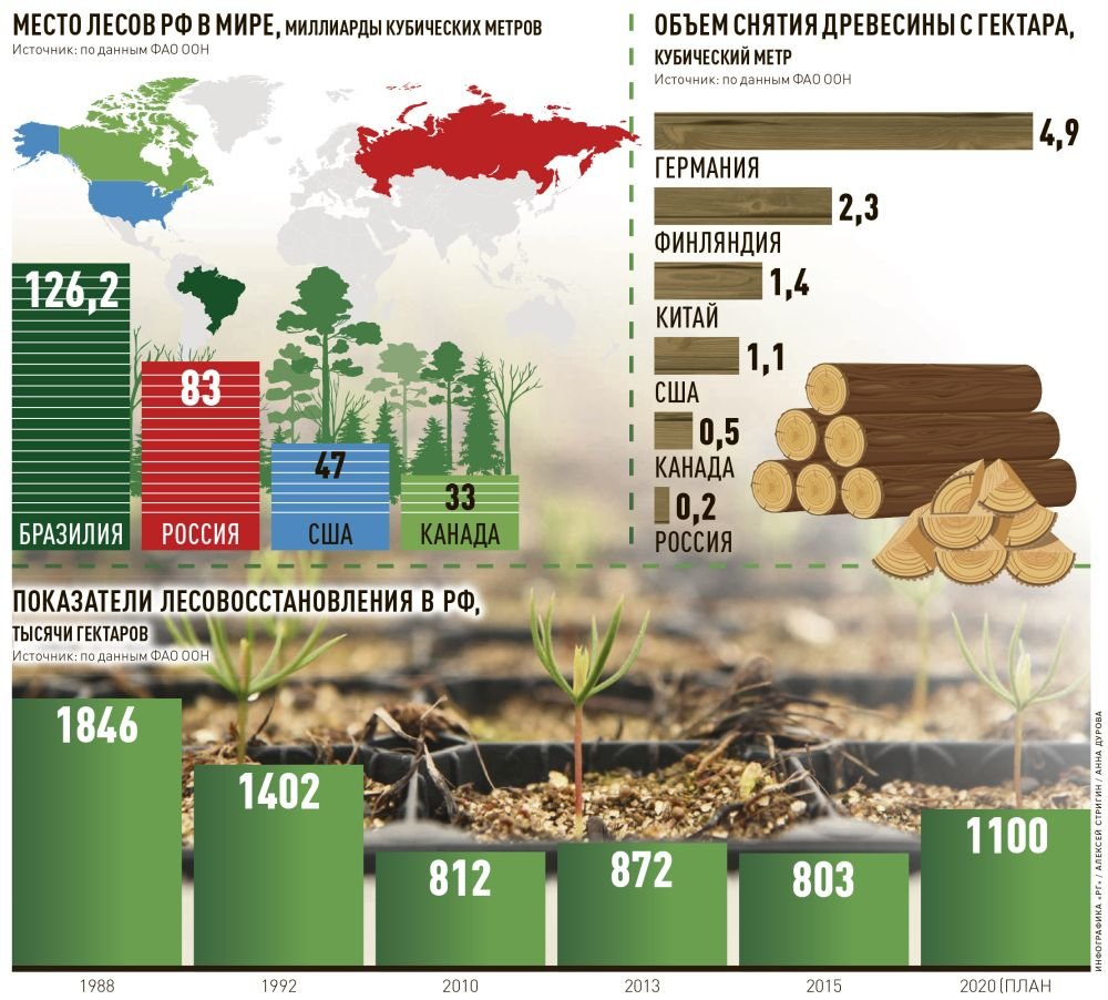 Количество лесов в россии. Статистика вырубки лесов. Вырубка лесов в России статистика. Статистика по вырубке лесов в мире. Статистика вырубки лесов по годам.
